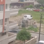 Muğla’da Domuzun Köpeğe Saldırısı Kameraya Yansıdı