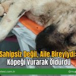 Sahipsiz Değil, Aile Bireyiydi: Köpeği Vurarak Öldürdü