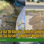 Muğla’da 10 Gündür Şehrin Göbeğinde Akan Su İsrafı Tepkilere Neden Oldu